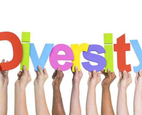 Diversity Training
