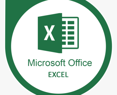 Using Microsoft Excel